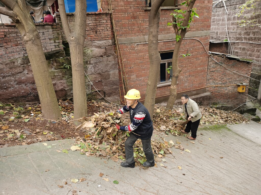 1640660195252083.jpg 2.jpg