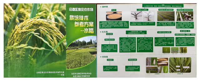企业微信截图_20241018110429.png