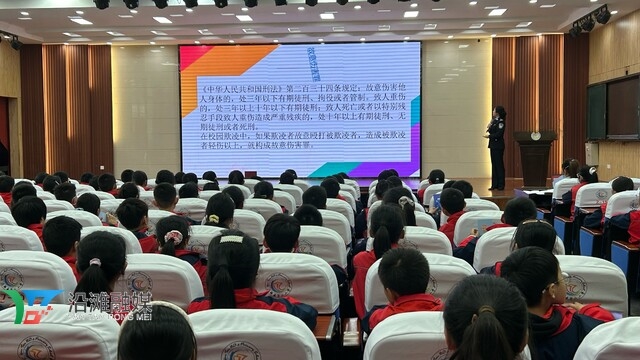 1774409190343048.jpg 4.jpg